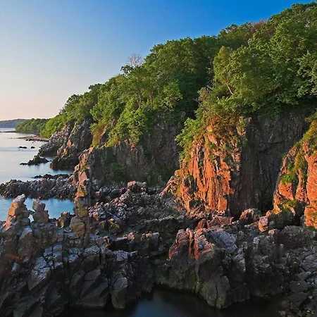 Premium With Large Kitchen