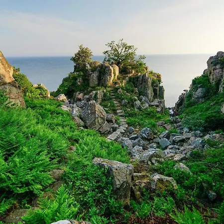 Premium With Large Kitchen Holiday home *